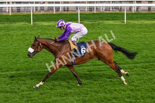 150524-Race 4-Secret Satire-4250 - Race 4 3.45pm Tattersalls Musidora Stakes