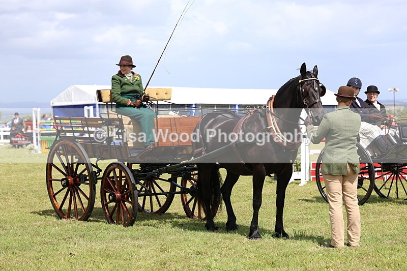 3E7A2754 - Class 12: Open Driving