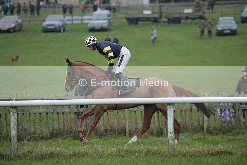 PtP 041222 0032 - Wheatland  Hunt PtP Chaddesley Corbett, Worcs 04/12/22