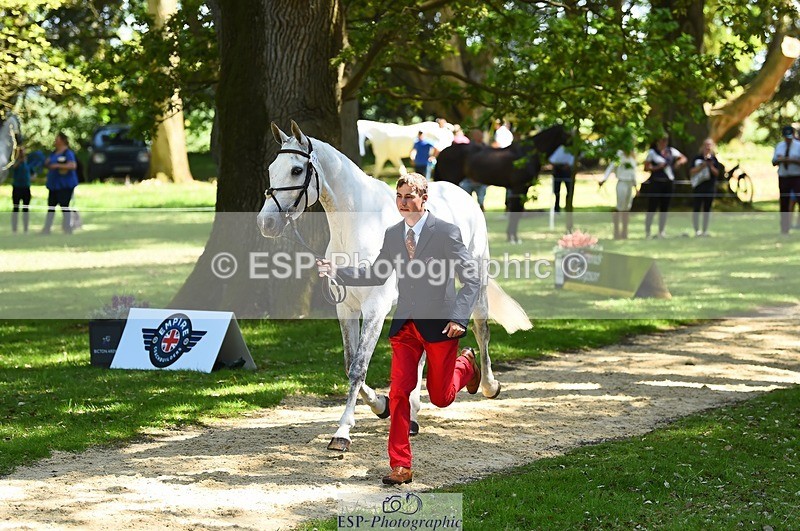 230524-151450-00155 - 314-CHANTILLY_AMATULLAH-Gaspard_Maksud-WEDTrotUp+DR