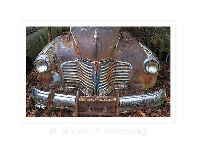 Tarnished Chrome Grill, 19   Buick Eight: Autographica Series - AUTOGRAPHICA: Faded Glory