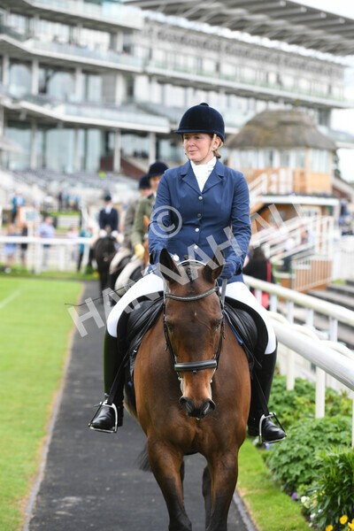 yr22052022r8e-8 - ROR - Parade Ring York