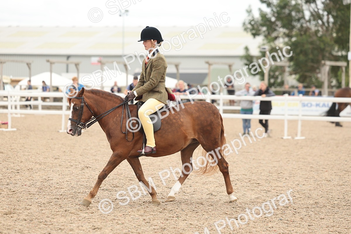 SBM_19149 - Class 316 - Best Pony-Rider Combination
