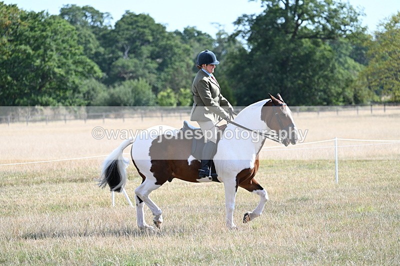 WJ7_2819 - Class 8 Ridden Tack & Turnout