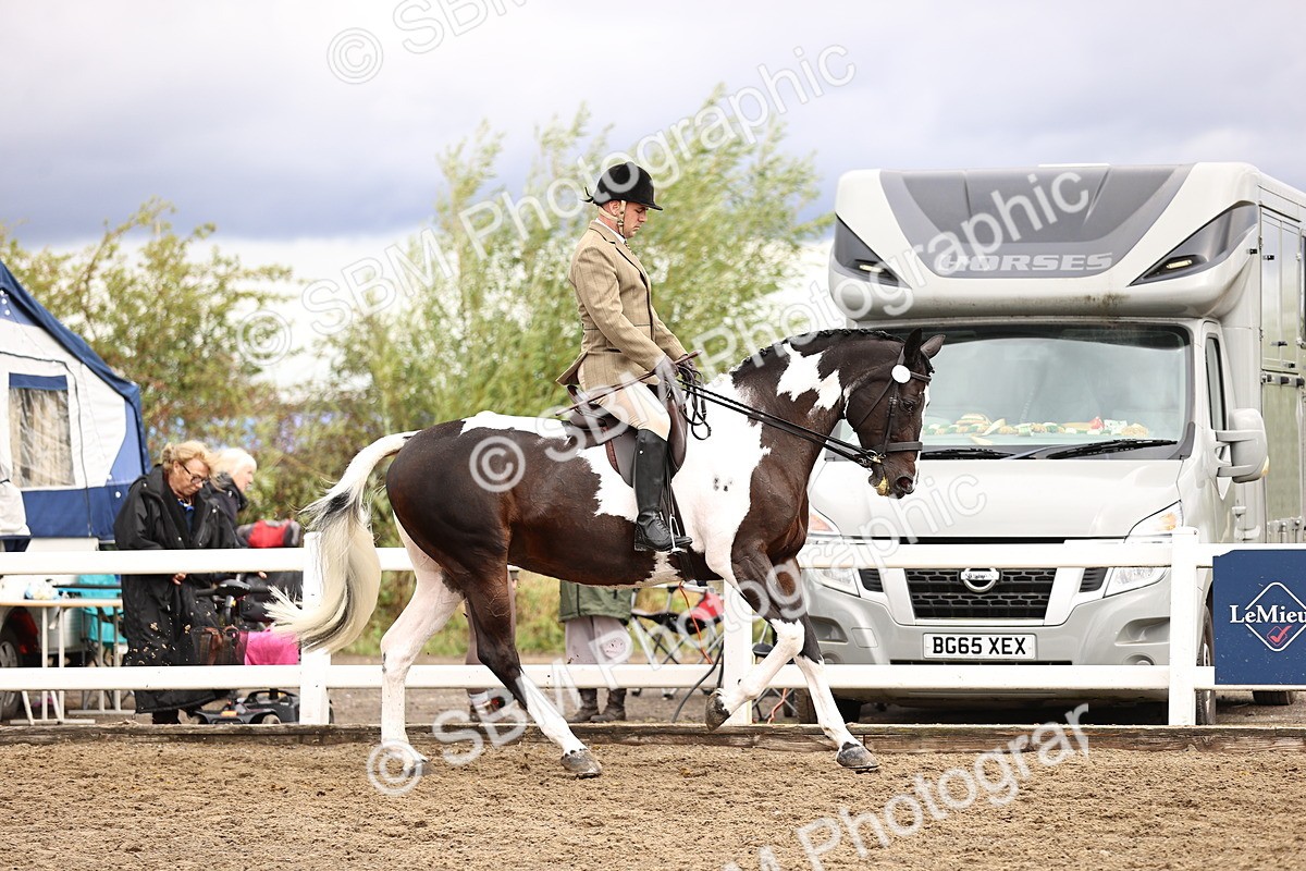 SBM_00570 - Class 53 - Ridden Competition Horse Pony