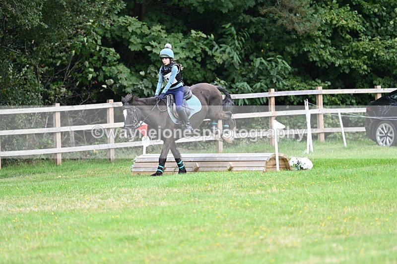 WJ7_7659 - 40cm Time 10:49 to 11:18