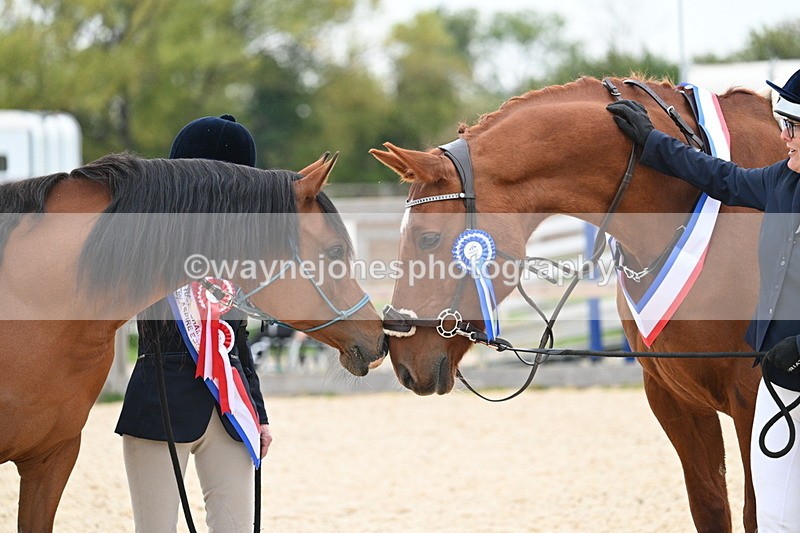 WJ7_1992 - Class 1 & Champs