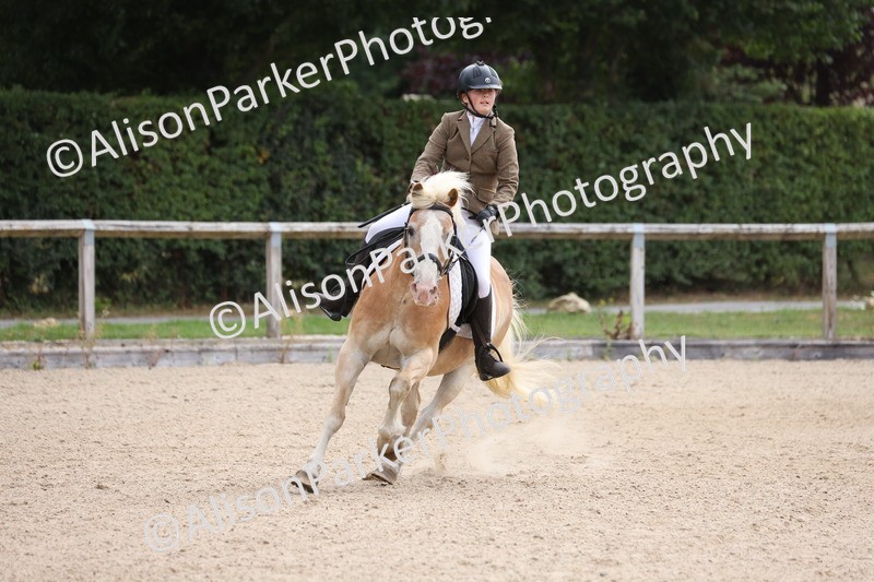 20250727-0196 - Class 2 - 50cm