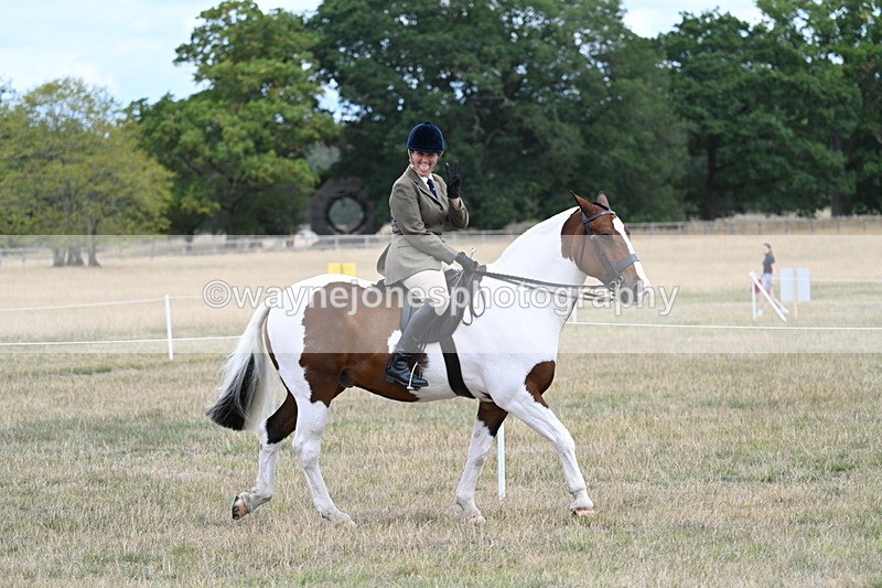 WJ7_4714 - Class 12 Ridden Cob