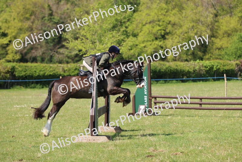 20250427-2584 - Class 20 - Working Hunter Ponies
