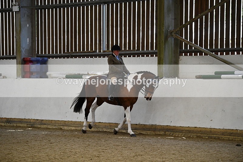 WJ5_5988 - Class 9 Ridden Veteran