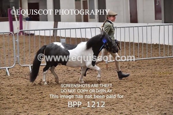 BPP_1212 - RING 2