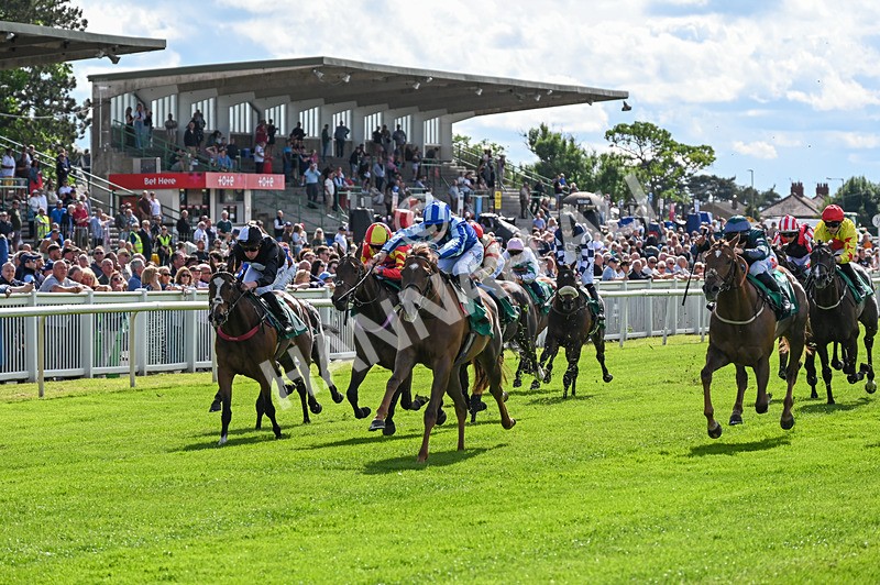 310526-Race 2-Dazzling Haze-8396 - Race 2 16.15pm Flutter Proud To Support Young Lives Vs Cancer Handicap