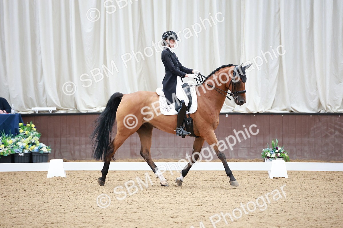 SBM_009632 - Class 13 - FEI PSG - 11.06-12.34