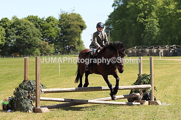 IMG_3598 - Working Hunter