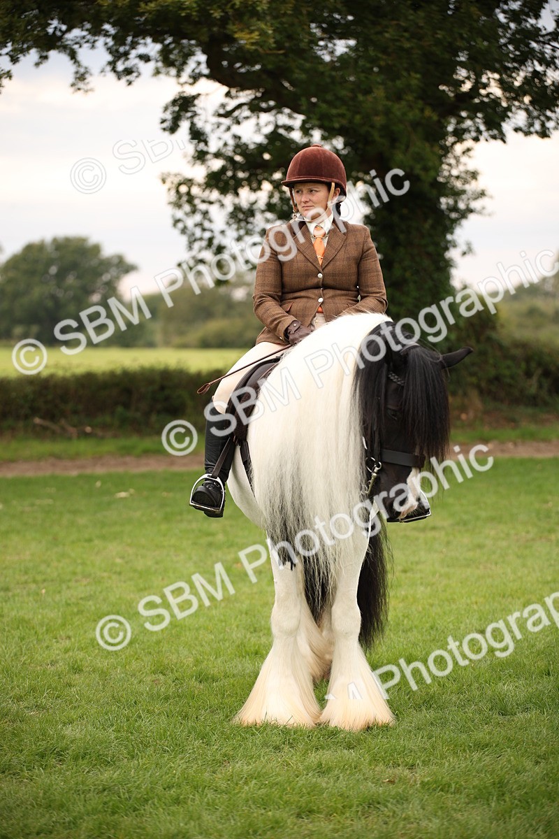 SBM_73467 - S68 - Traditional Cob Ridden
