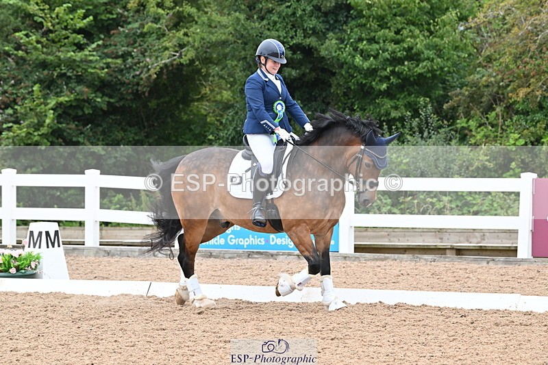 240815A-130511-01097 - Cls 7-P Freestyle Medium Bronze