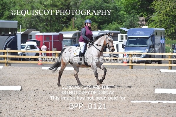 BPP_0121 - SHORT ARENA  MY QUEST PRELIM
