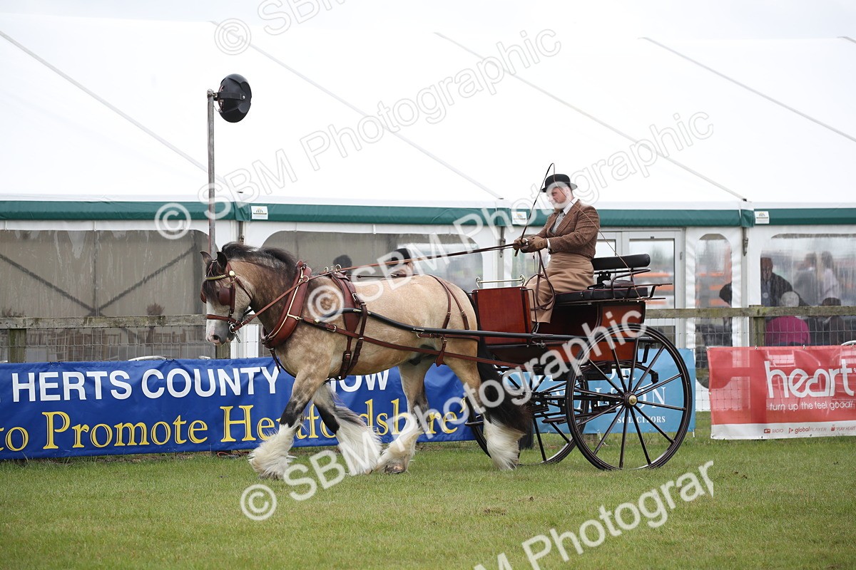 SBM_05647 - Class 12-15 - HOYS Private Driving