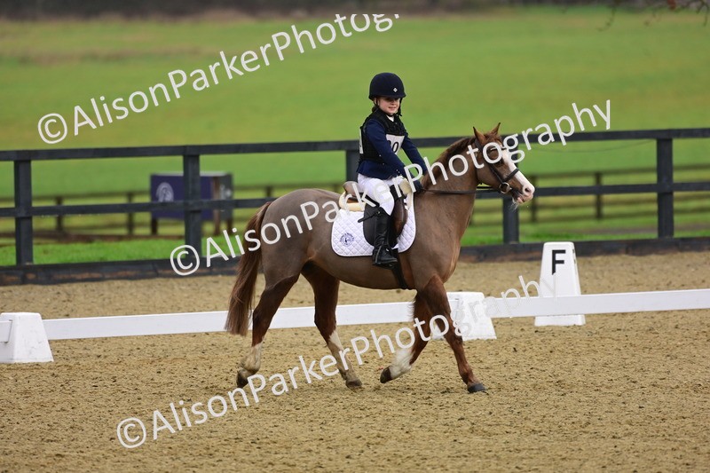 20260125-0655 - Class 9b - Walk Trot Unassisted