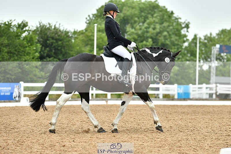 230708A-115942-02678 - Prelim 13