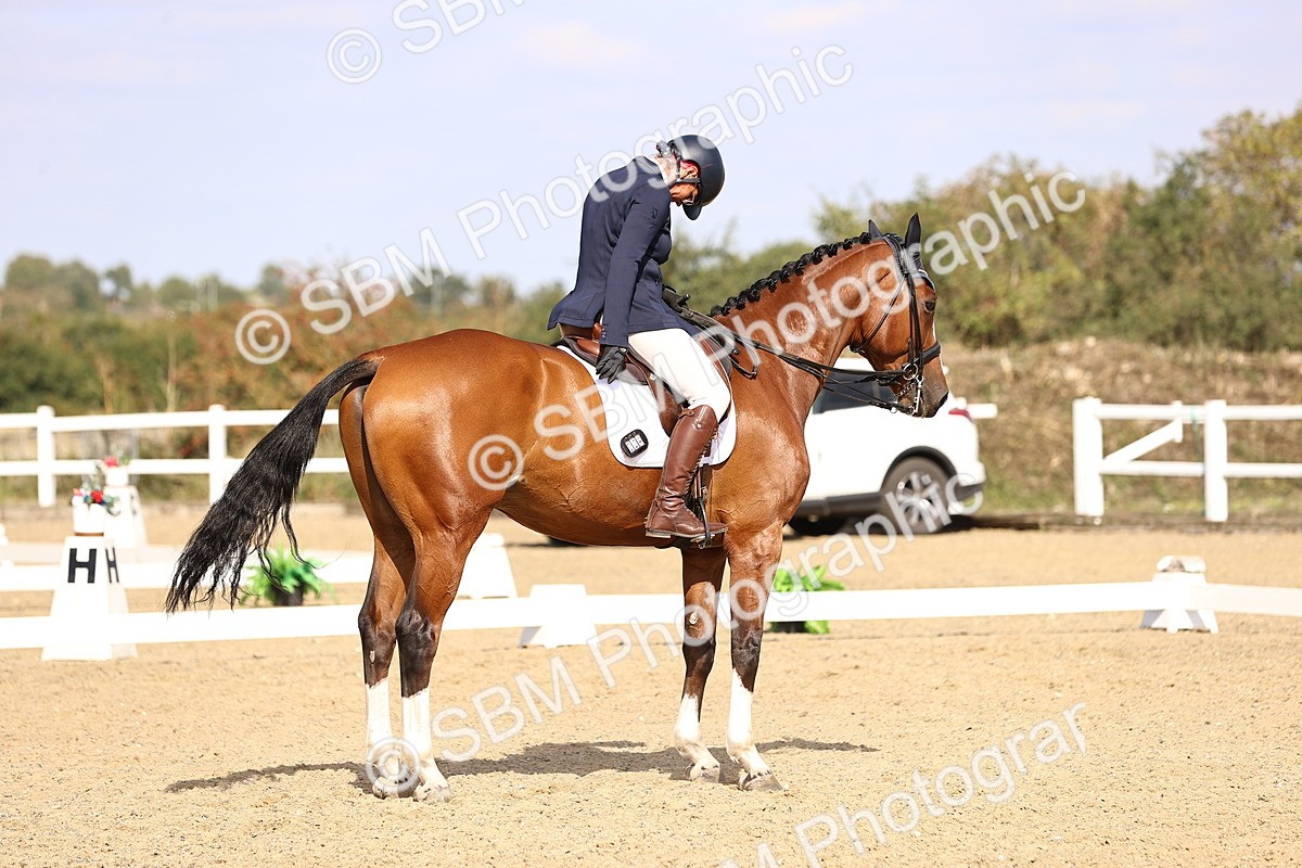 SBM_015214 - Class 8 - Medium 5