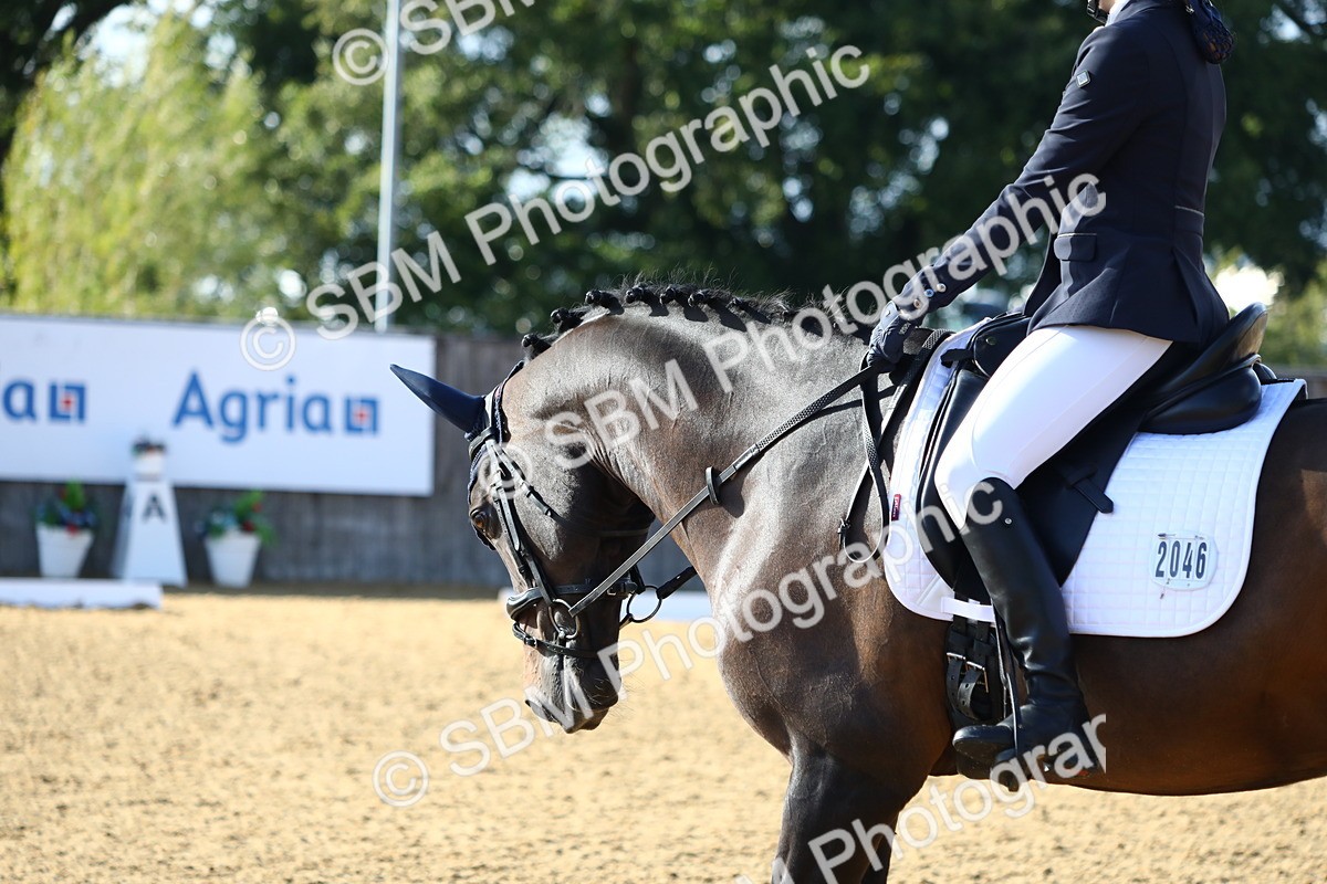 SBM_52466 - D23 - Junior Championship Prelim 1