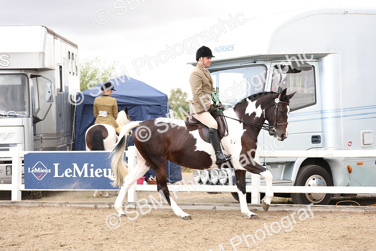SBM_02954 - Class 53 - Ridden Competition Horse/Pony