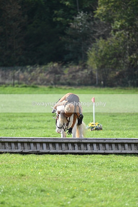 WJ7_3958 - 40cm Time 10:26 to 10:42