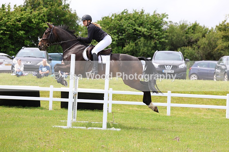 3E7A7240 - Class 13: Senior British Novice/90cm open