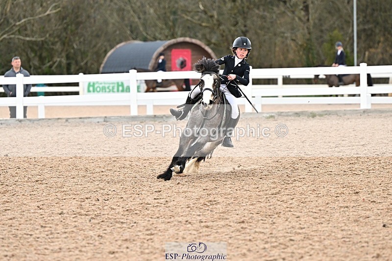 250308-141136-02234 - Cls 30 Stepping Stones