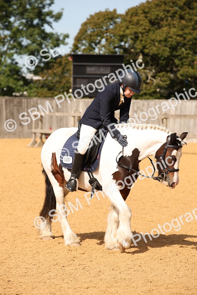 SBM_21791 - D5 - Small Tour Championship - Intro C