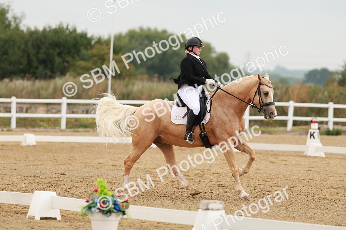 SBM_009126 - Class 12 - Elementary 6 - 9.30-10.34