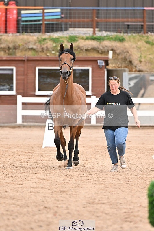 250716-152233-01885 - Trot Up 2.30 to 3.30