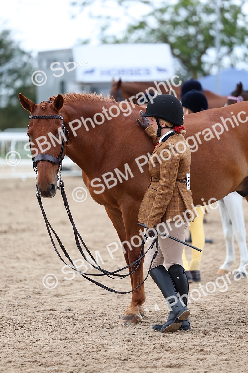 SBM_05100 - Class 27 - IH Competition Horse or Pony
