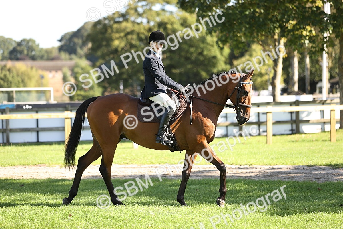 SBM_16859 - S2 - TSR Ridden Pony Showing