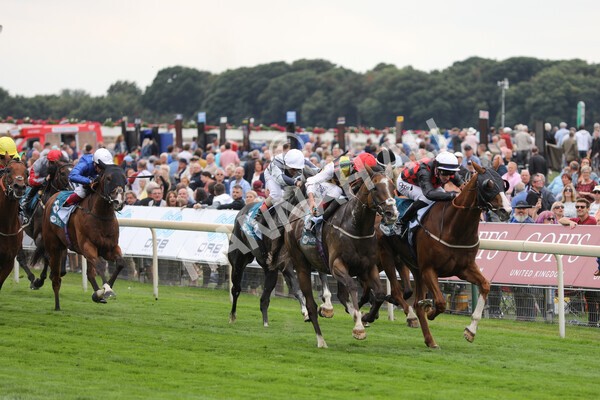 yr18082022r3-21 - Race 3 3.00pm Clipper Logistics Stakes