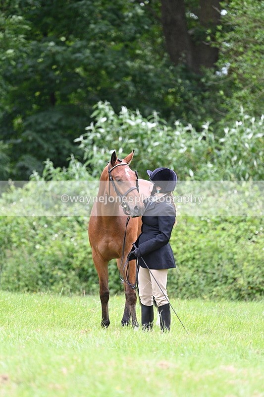 WJ7_3859 - Class 14A Handsome Gelding