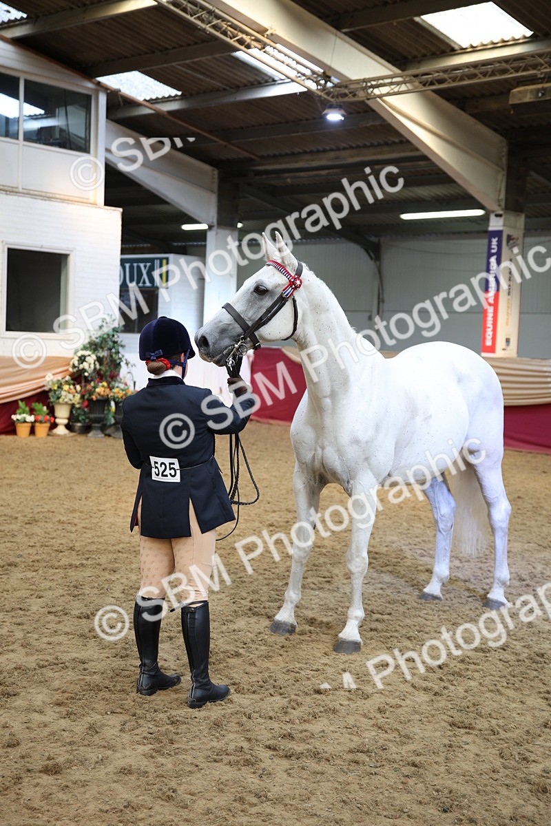 SBM_24794 - Class 906 - Supreme Final - Ridden Pre Vet