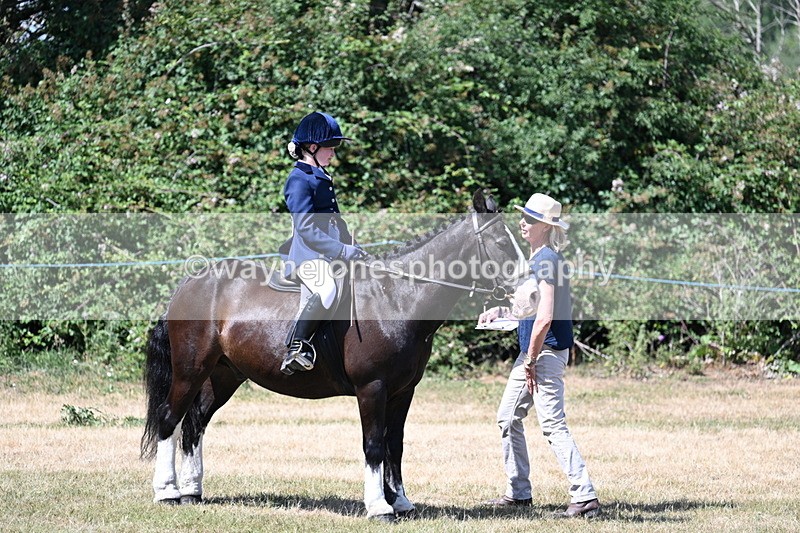WJ7_3674 - Class 8 Ridden Veterans