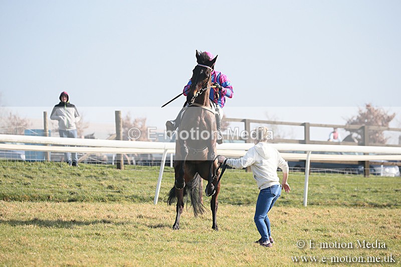 PtP 230219 26 - Vine & Craven Point-To-Point - Barbury 23/02/19
