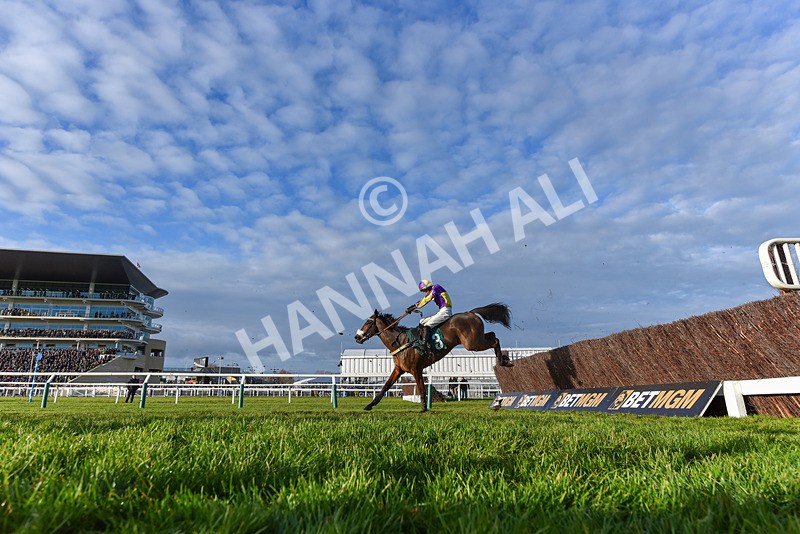 141224-Race 4-Le Patron-9422 - Race 4