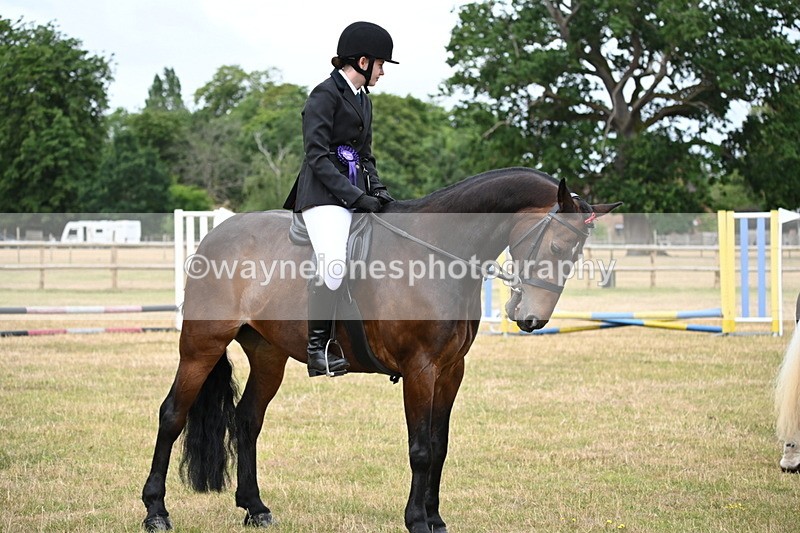 WJ6_4050 - Class 9 Tack & Turnout