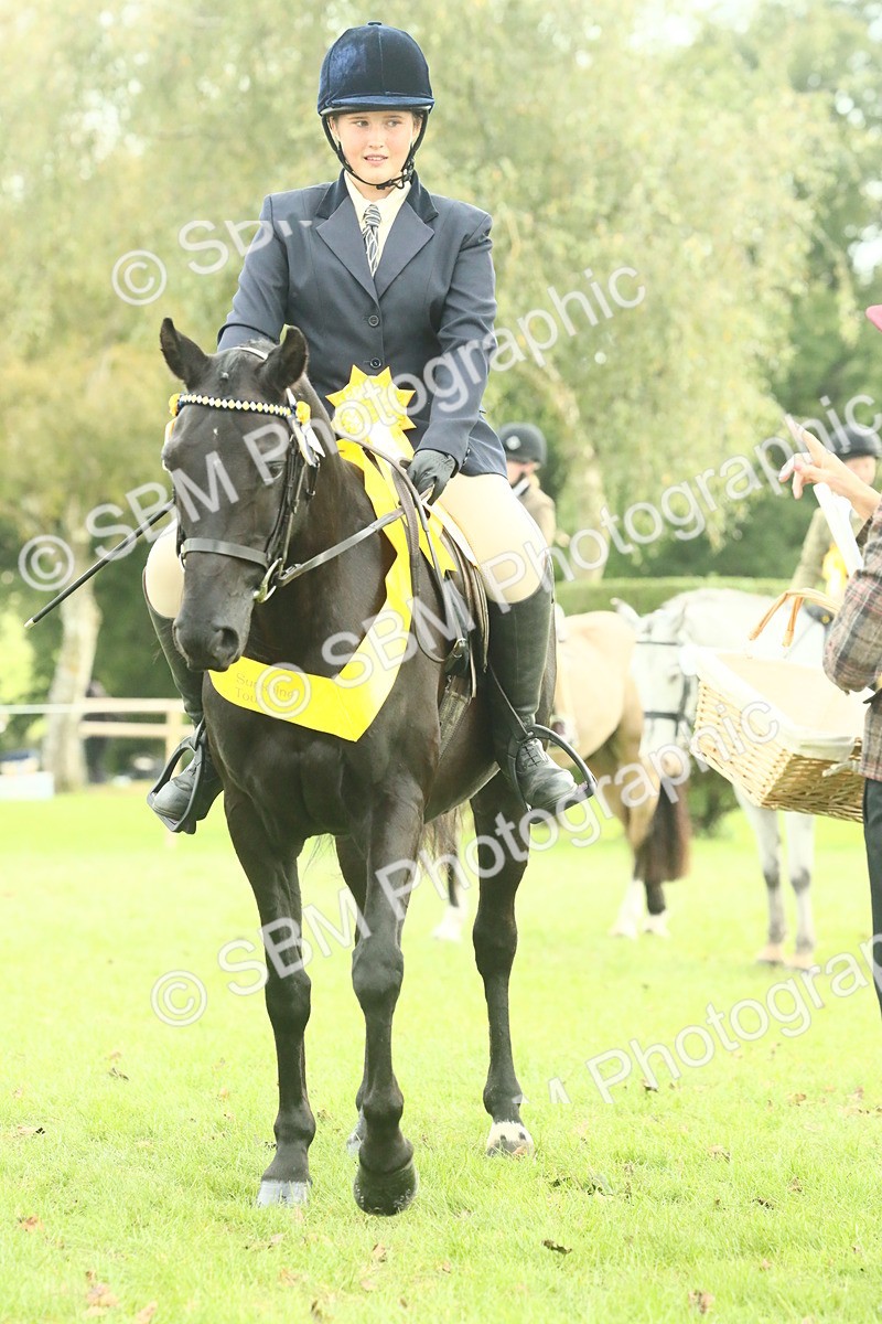 SBM_74138 - S 61 - Show Pony & Show Hunter Pony Ridden