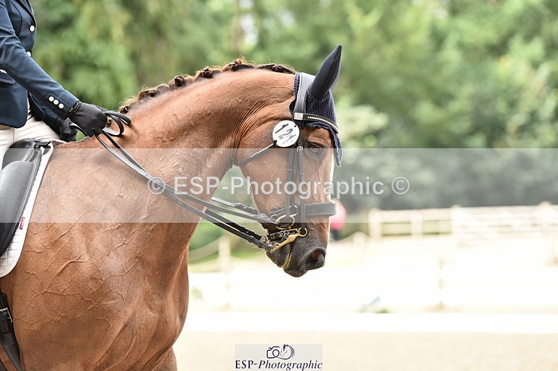 140110A-000834-10518 - 121-Florence.Marsh-Shannondale.Thelma