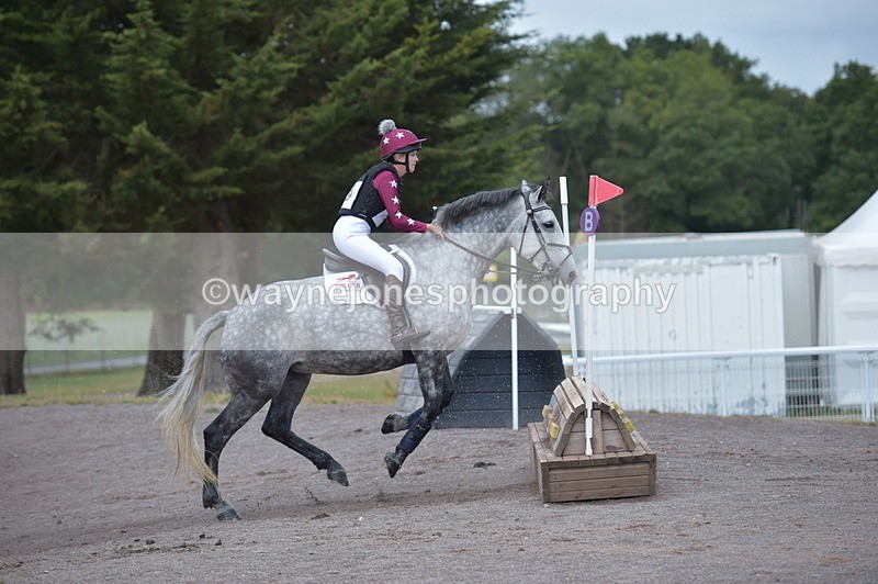 NGP_2440 - XC Time 11:37 to 11:57