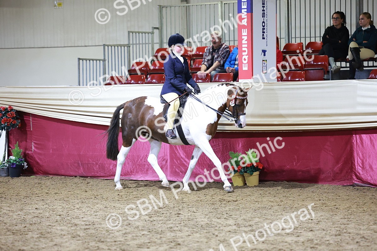 SBM_21211 - Class R - Veteran Champ