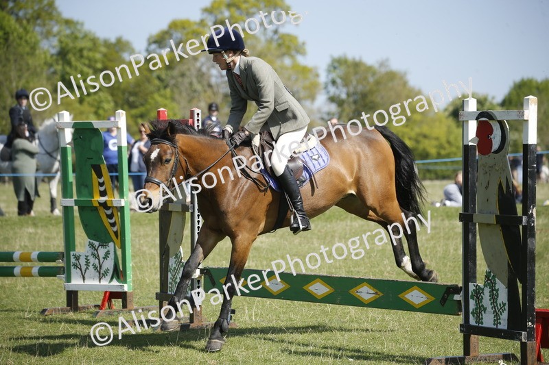 20250427-1989 - Class 13 - Novice Jumping 60cm