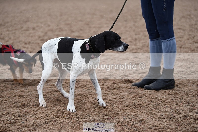 240518A-125942-01221 - Cls 6 Best Veteran