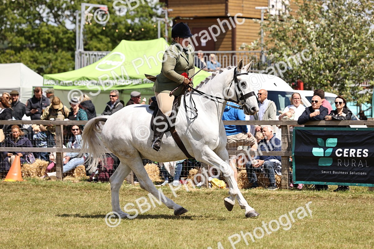SBM_14759 - Class 88-89 - LIHS BSHA Rising Star of Ridden Hunter Type